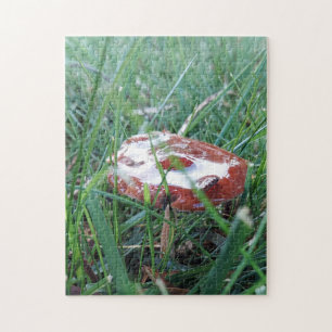 Puzzle Casse-tête Champignon avec Rosée du Matin
