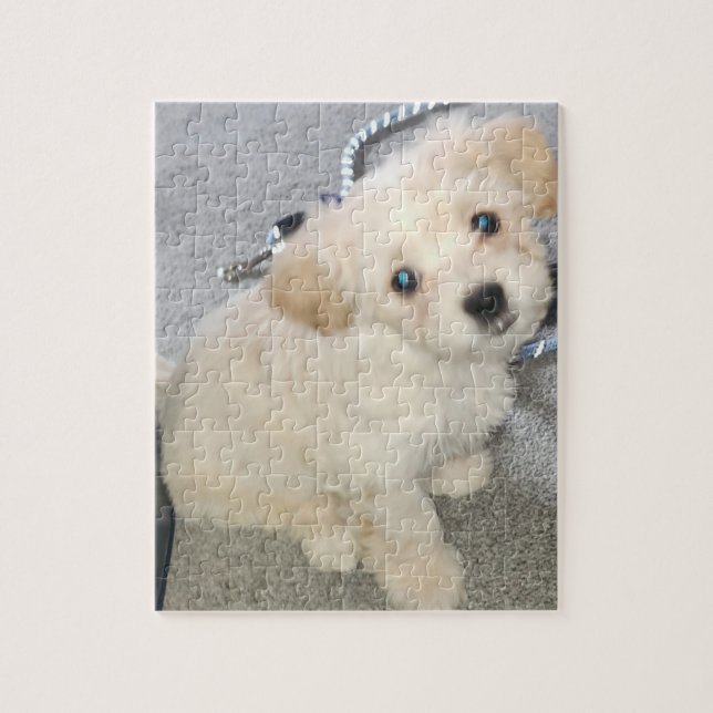 Puzzle Casse-tête Dash 01 (Vertical)