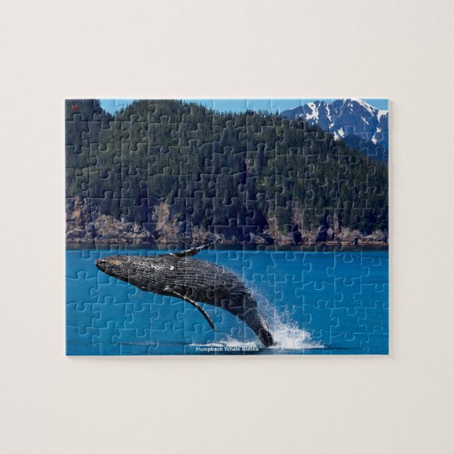 Puzzle Casse-tête de baleine à bosse Alaska (Horizontal)