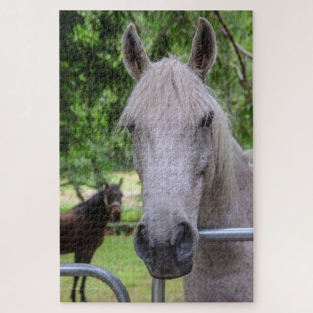 Puzzle Casse-tête de cheval (Vertical)