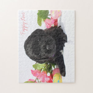 Puzzle Casse-tête de chiot de Goldendoodle