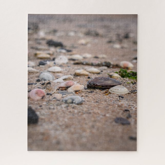 Puzzle Casse-tête de coquillages sur la plage (Vertical)