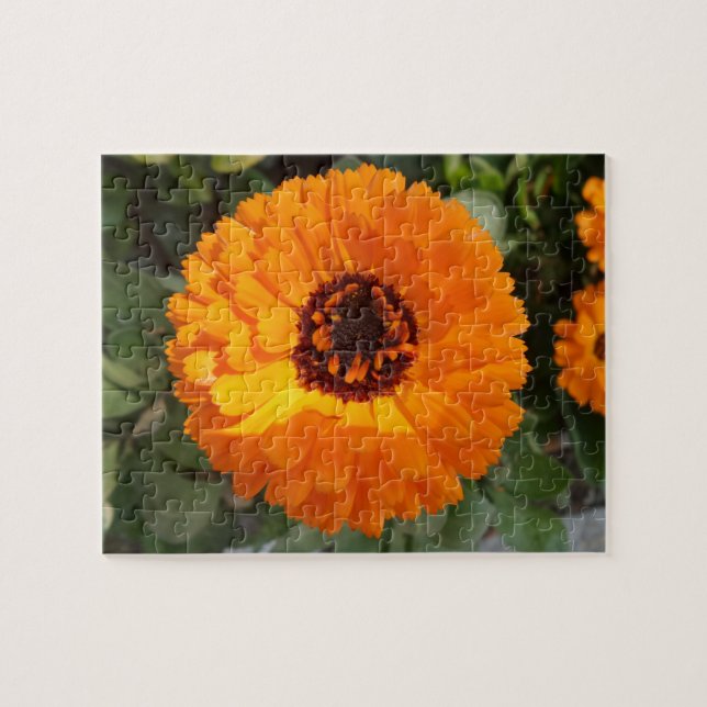 Puzzle Casse-tête de Fleur Orange (Horizontal)