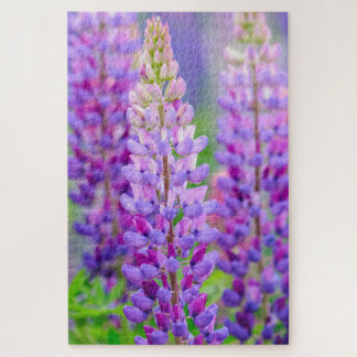 Puzzle Casse-tête de fleurs de lupin pourpre