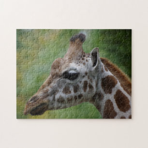 Puzzle Casse-tête de girafe