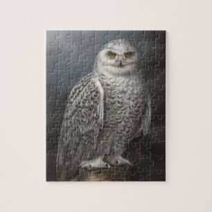 Puzzle Casse-tête de hibou de Milou