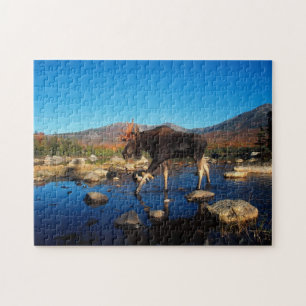 Puzzle Casse-tête de jeu Yellowstone