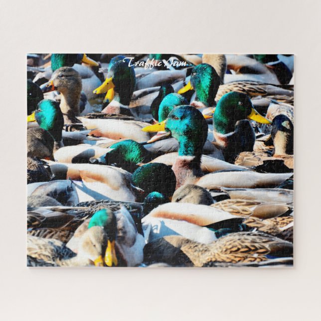 Puzzle Casse-tête de la circulation des canards colverts  (Horizontal)
