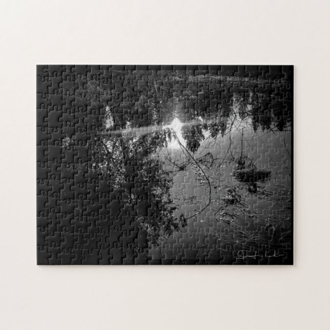 Puzzle Casse-tête de l'étang (Horizontal)