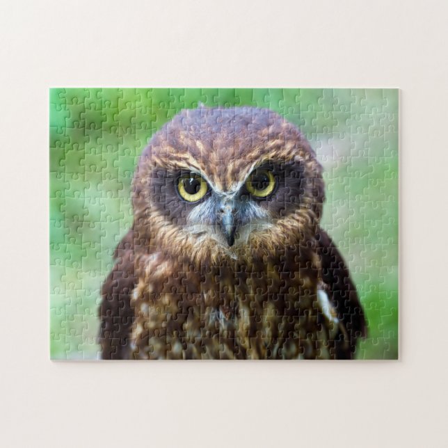Puzzle Casse-tête de petit hibou (Horizontal)