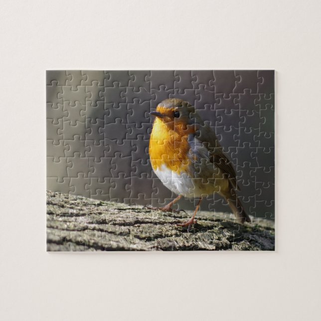 Puzzle Casse-tête de Robin (Horizontal)