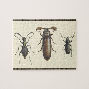 Puzzle Casse-tête de trois insectes côte à côte