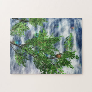 Puzzle Casse-tête des chutes de l'aire de l'oiseau