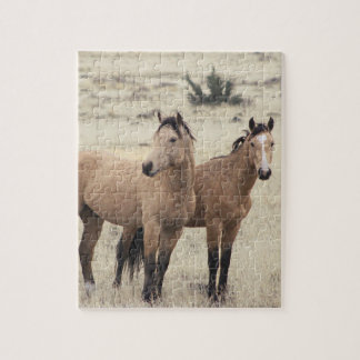 Puzzle Casse-tête des Mustangs de Steens 