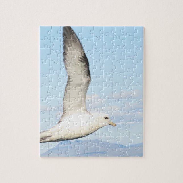 Puzzle Casse-tête du Goéland en vol (Vertical)