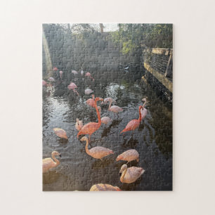 Puzzle Casse-tête du lagon aux flamants roses
