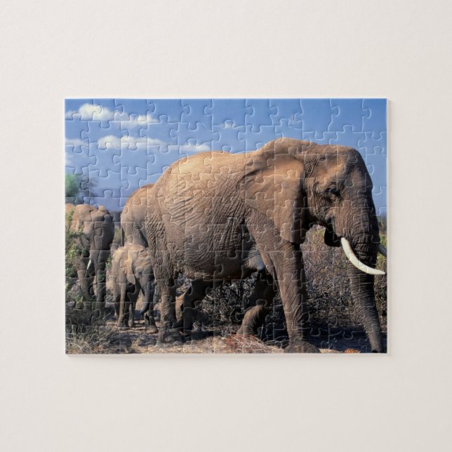 Puzzle Casse-tête Éléphants (Horizontal)