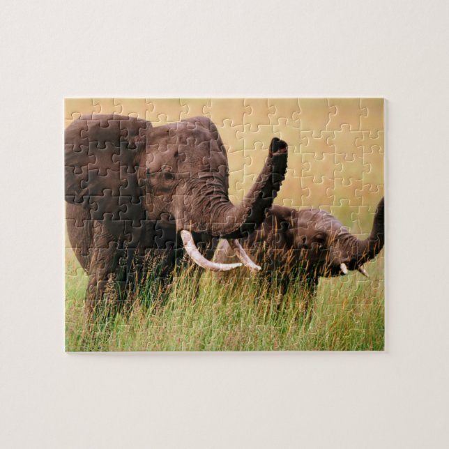 Puzzle Casse-tête Éléphants (Horizontal)