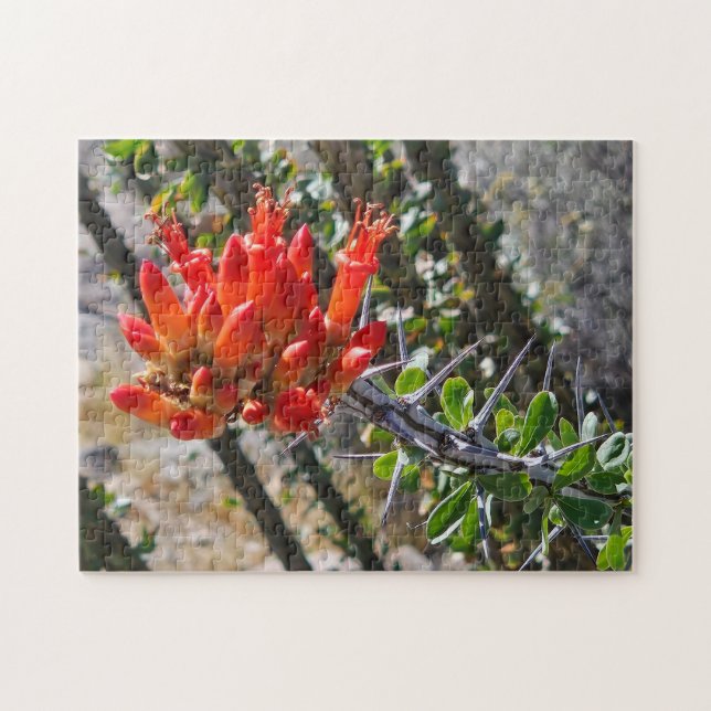 Puzzle Casse-tête Épines & Fleurs de Feu, 11" x 14", 252  (Horizontal)
