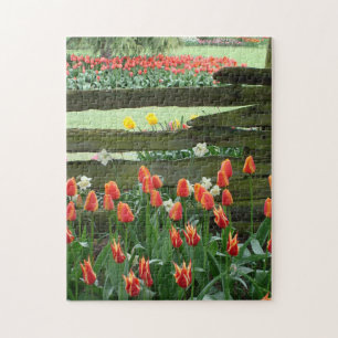 Puzzle Casse-tête Jardins de Tulipes, 28 cm x 35,5 cm, 25