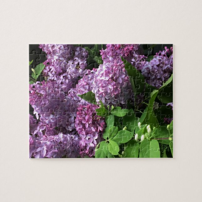 Puzzle Casse-tête :  LILAS (Horizontal)