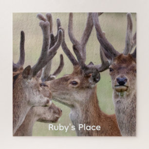 Puzzle Casse-tête personnalisé de photo de quatre cerfs r