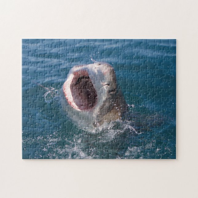 Puzzle Casse-tête Requin (Horizontal)