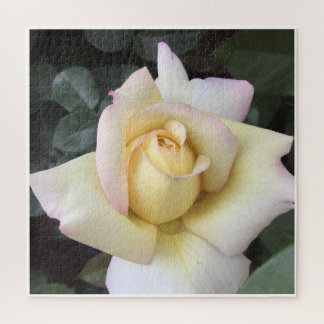 Puzzle Casse-tête Rose
