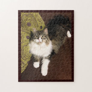 Puzzle Casse-tête sibérienne de chat