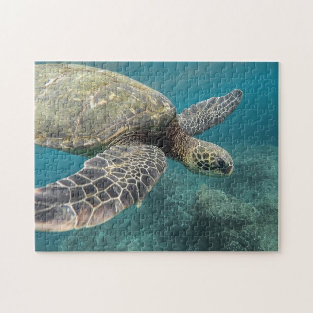 Puzzle Casse-tête Tortue de mer (Horizontal)
