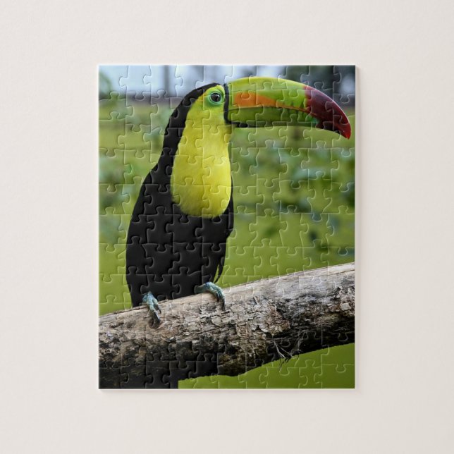 Puzzle casse-tête TOUCAN (Vertical)