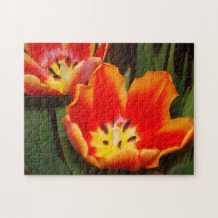 Puzzle Casse-tête Tulipe Cœur Doré, 11" x 14", 252 pièces