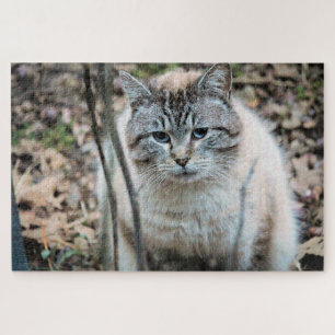 Puzzle Cat