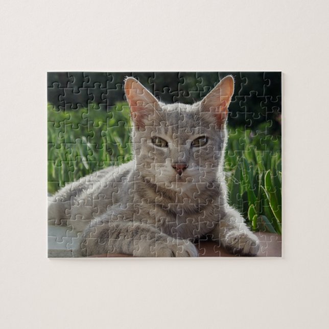 Puzzle Cat (Horizontal)