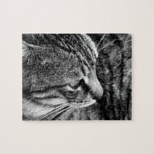 Puzzle Cat