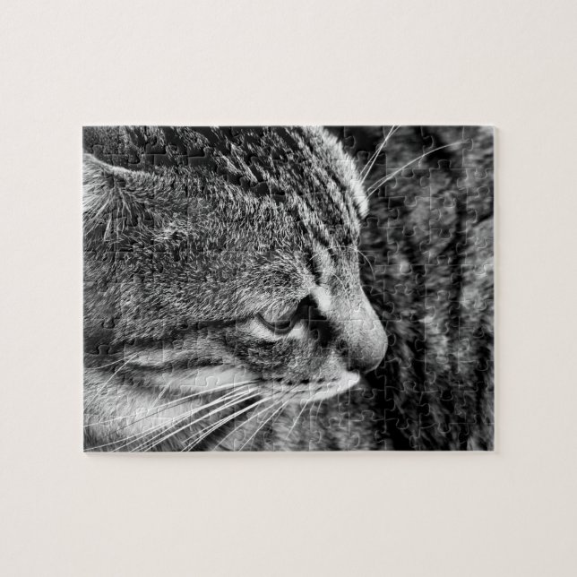 Puzzle Cat (Horizontal)