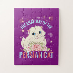 Puzzle cat aesthetic,The Anatomy Of The Persian Cat