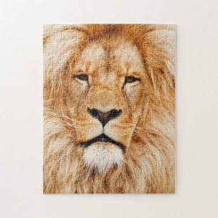 Puzzle Cat Kitten Photographie Animal Pic Cat Photographe