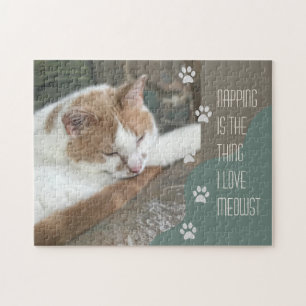 Puzzle Cat Napping est ce que j'aime le plus
