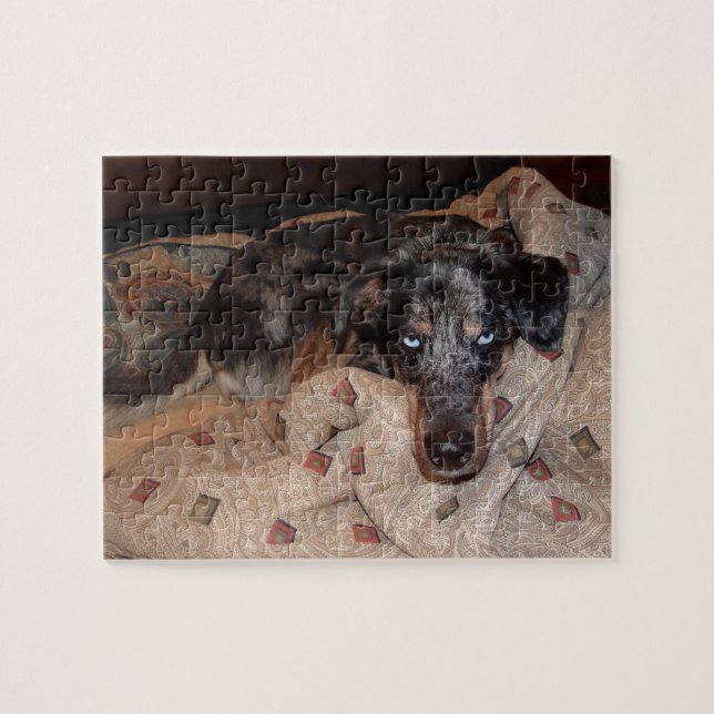 Puzzle Catahoula Leopard Chien Snoozing (Horizontal)