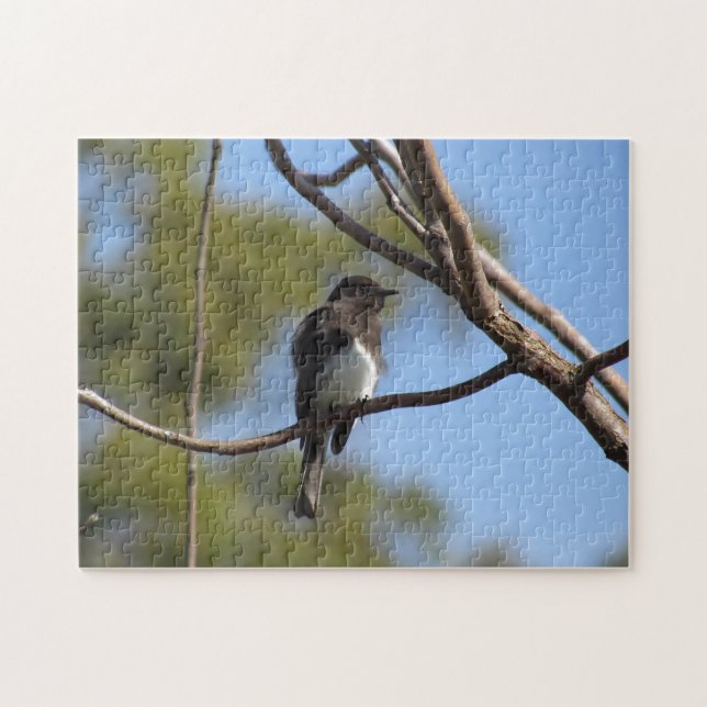 Puzzle - Catcher (Horizontal)