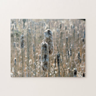 Puzzle Cattails Fluffés Dans La Nature Du Printemps