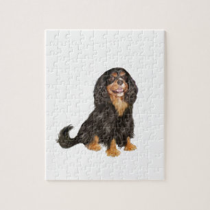 Puzzle Cavalier King Charles (R) - Noir et tan.png