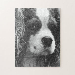 Puzzle Cavalier King Charles Spaniel