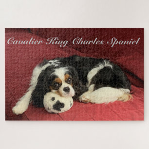 Puzzle Cavalier le roi Charles Spaniel