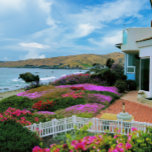 Puzzle Cayucos Californie<br><div class="desc">Ce puzzle élégant présente une belle photo de fleurs en fleurs contre les vagues à Cayucos, en Californie. Cette petite ville balnéaire pittoresque est une véritable scène de vie côtière de petite ville, loin de la circulation et des gens de la baie et du bassin de Los Angeles. Situé le...</div>