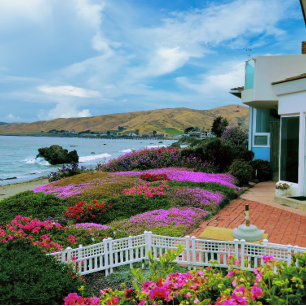 Puzzle Cayucos Californie