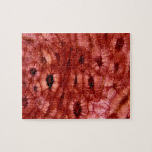 Puzzle Cellules de Sclerenchyma d'un puits de cerise