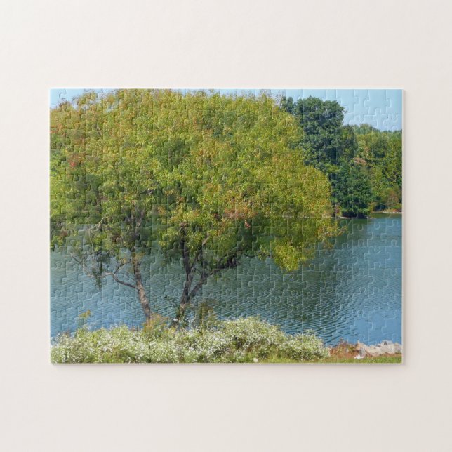 Puzzle Centennial Lake in Ellicott City Maryland (Horizontal)