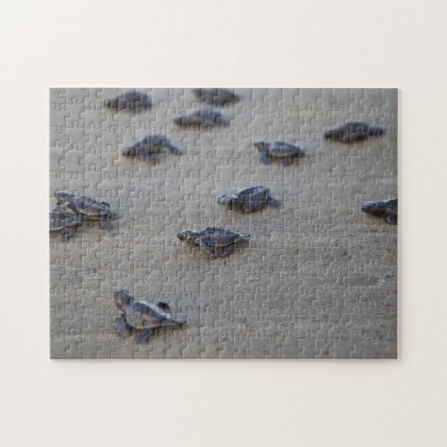 Puzzle Central America, El Salvador, Pacific Ocean (Horizontal)